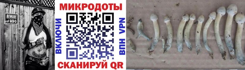 Галлюциногенные грибы GOLDEN TEACHER MEGA сайт Алагир
